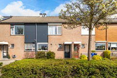 Albert Schweitzererf 6_05.jpg